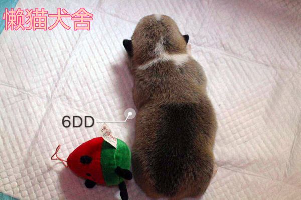 微信图片_20170723090216.jpg