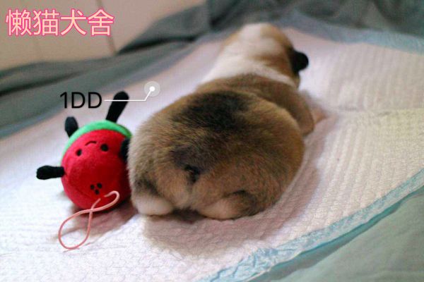微信图片_20170723090241.jpg