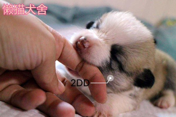 微信图片_20170723090250.jpg