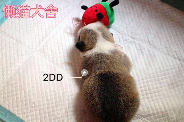 微信图片_20170723090145.jpg