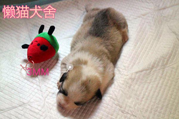 微信图片_20170723090155.jpg