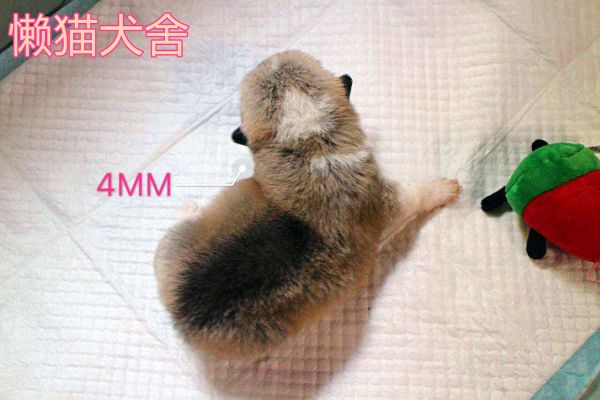 微信图片_20170723090202.jpg