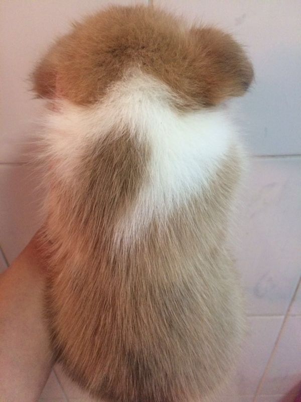 zhaopian6.2811 002.jpg