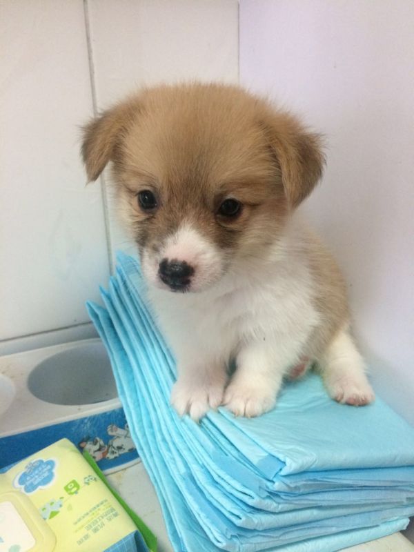 zhaopian6.2811 003.jpg