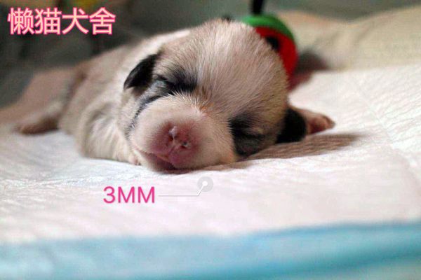 微信图片_20170723090300.jpg