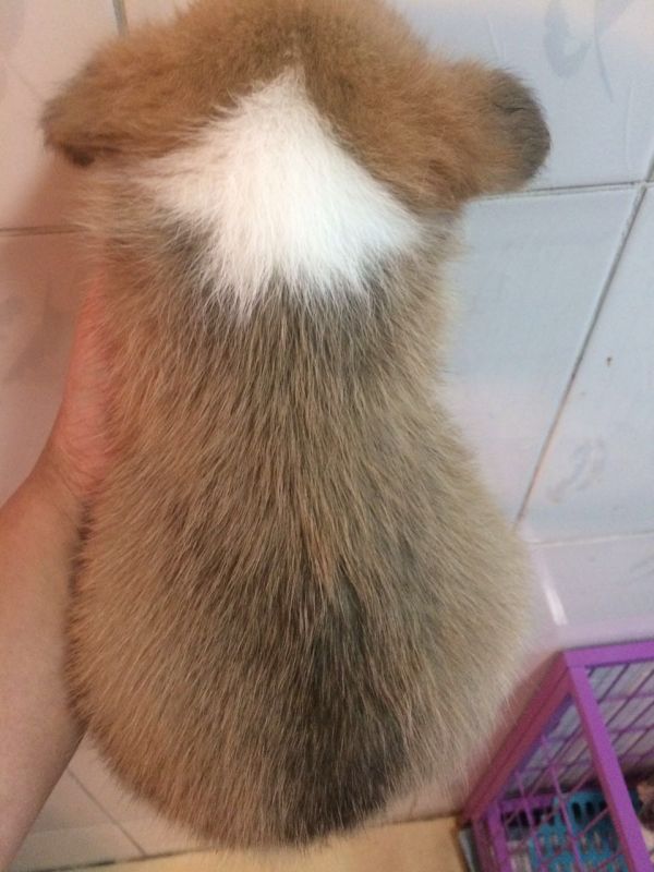 zhaopian6.2811 004.jpg