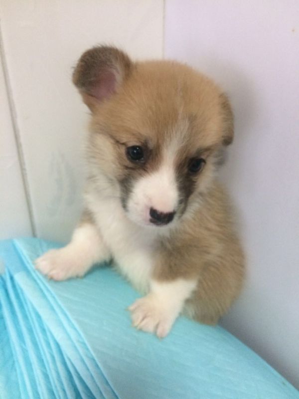 zhaopian6.2811 005.jpg