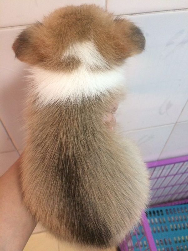 zhaopian6.2811 006.jpg