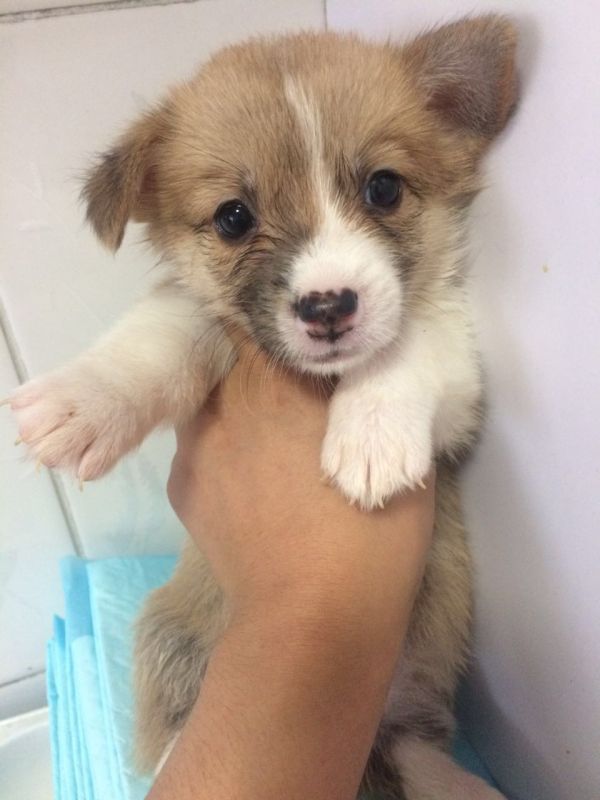 zhaopian6.2811 007.jpg