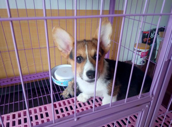 mmexport1500947256116.jpg