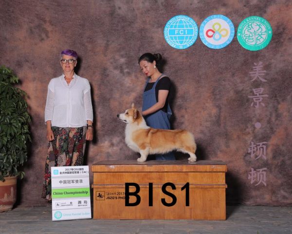 登录照.jpg
