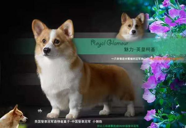 微信图片_20170730094056.jpg