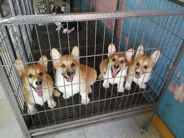 微信图片_20170731151941.jpg