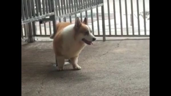 QQ图片20170725211056.jpg