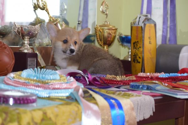 QQ图片20170801204757.jpg