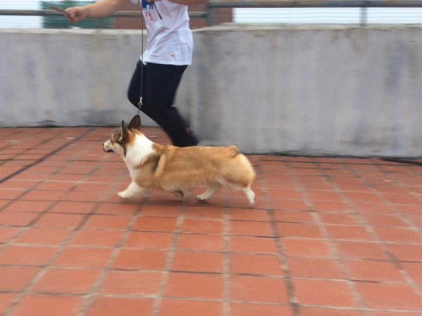 微信图片_20170803155053.jpg