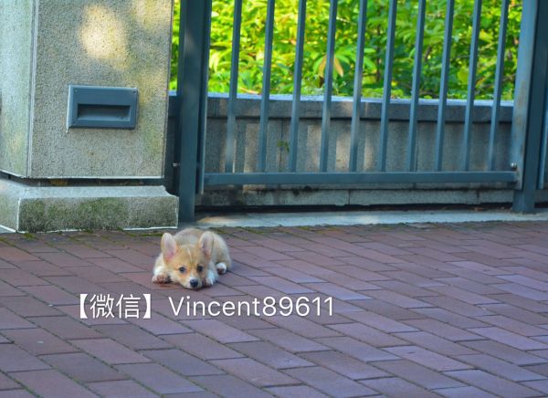 微信图片_20170805103836.jpg