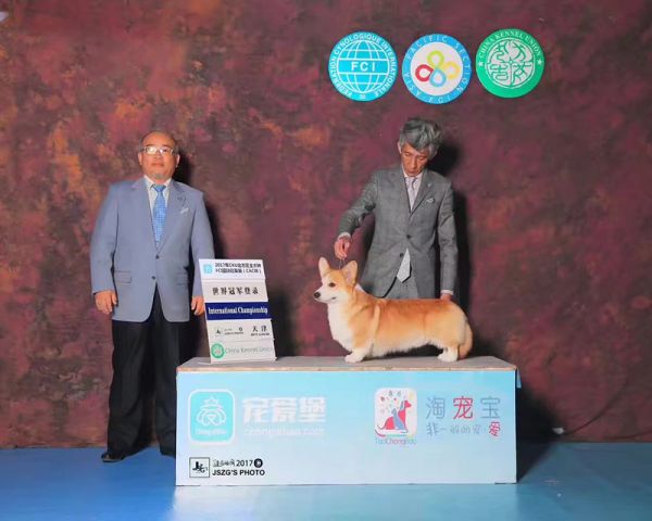 IMG_0002_副本.jpg