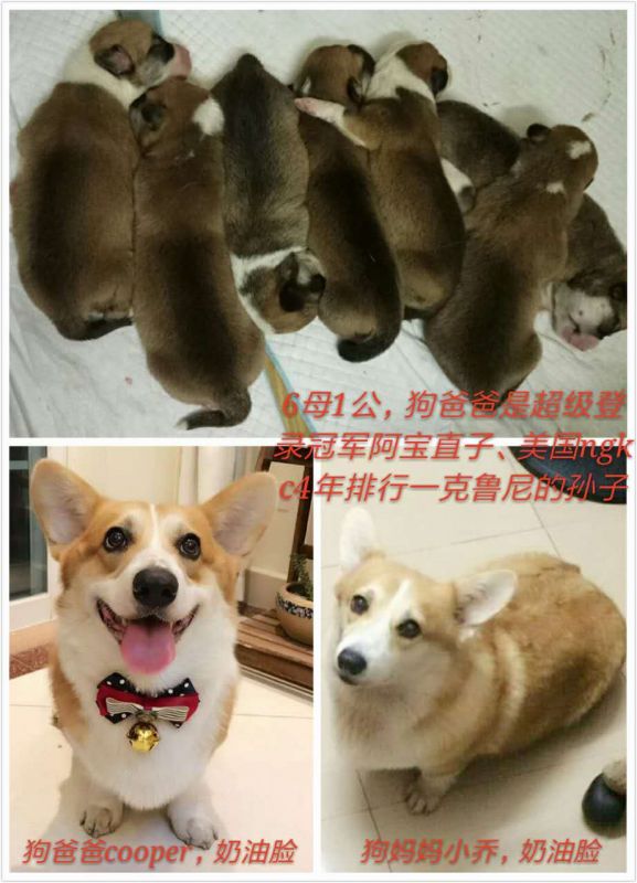 微信图片_20170730114349.jpg