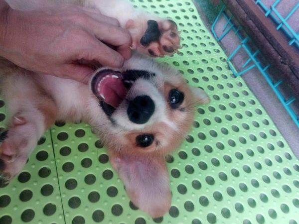 微信图片_20170730114423.jpg