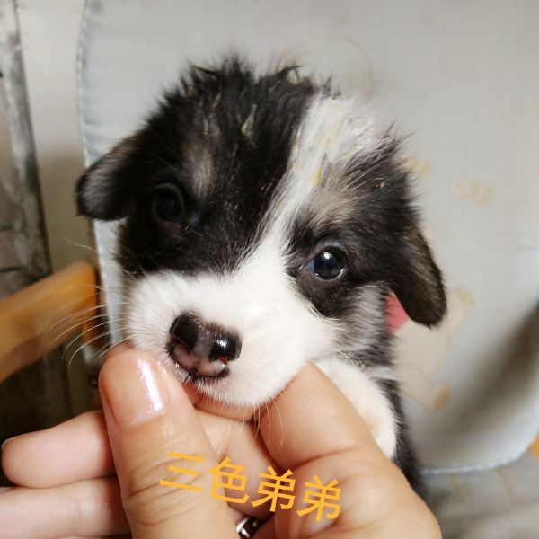 goMeirongTemp_mr1502087858689_mh1502089847541.jpg