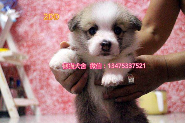 微信图片_20170808061533.jpg