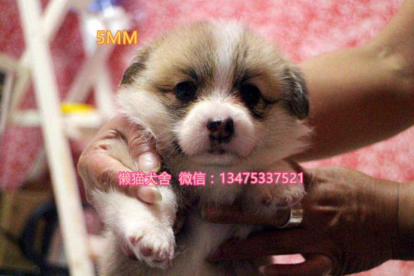 微信图片_20170808061542.jpg