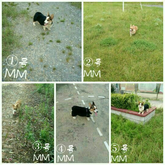 QQ图片20170808233412.jpg