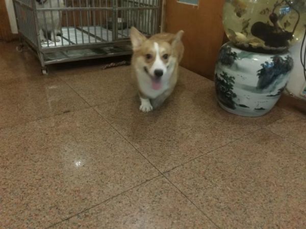 06c24b702a437630a644183e9319bc78_182457iwxj6uurwxqziun3.jpg.thumb.jpg