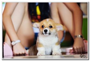 DSC_1033.JPG