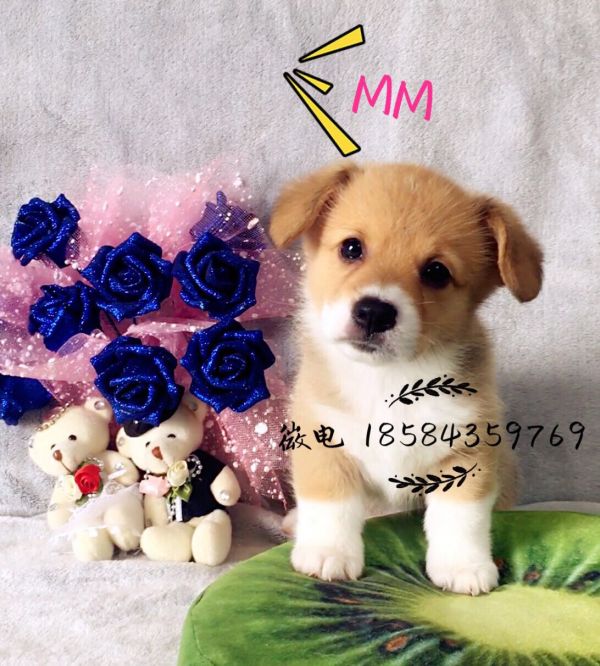 2091676153.jpg