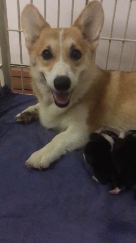 QQ图片20170811215000.jpg