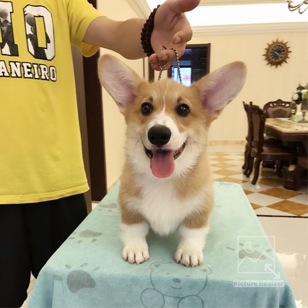 image.jpeg
