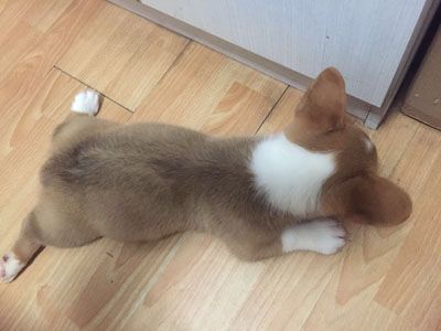 微信图片_20170814000807.jpg