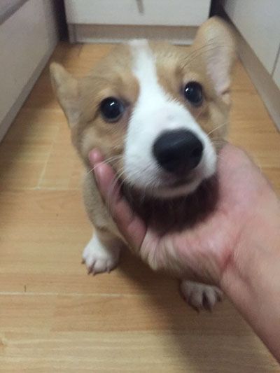 微信图片_20170814000825.jpg
