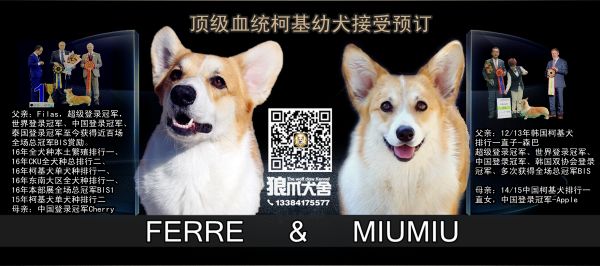 费雷&amp;缪缪JIANJ_副本.jpg
