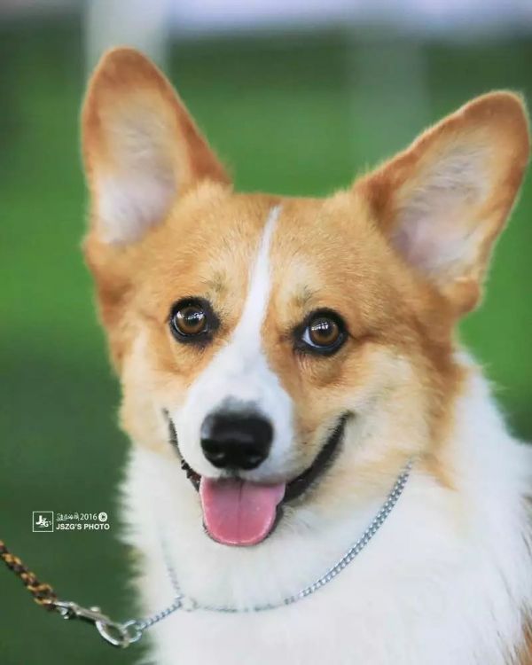 海瑞1.jpg
