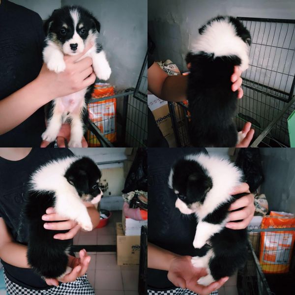 2017.7.12 gong good.jpg