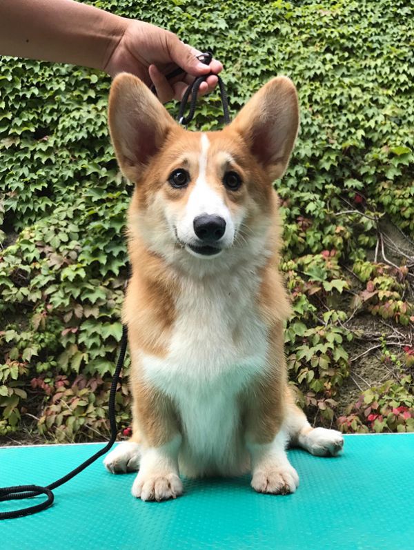 新建文件夹 (3)IMG_6830_副本.jpg