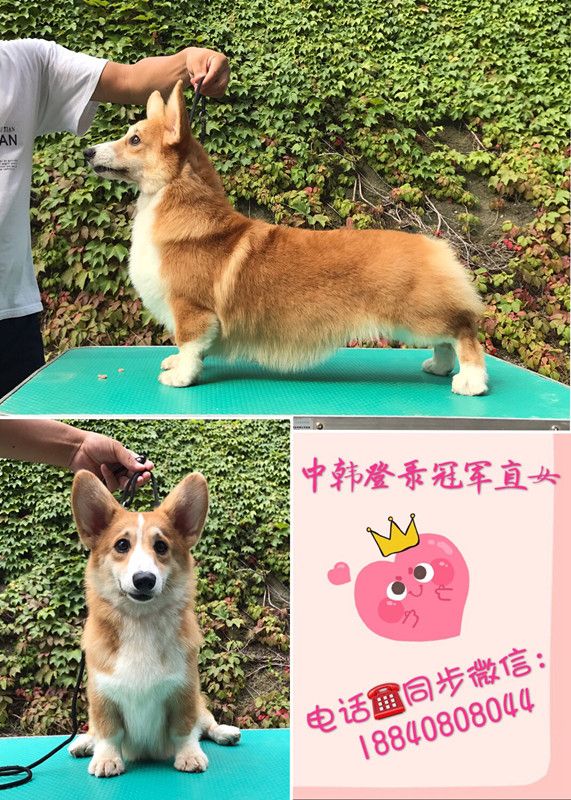 新建文件夹 (3)IMG_6832_副本.jpg