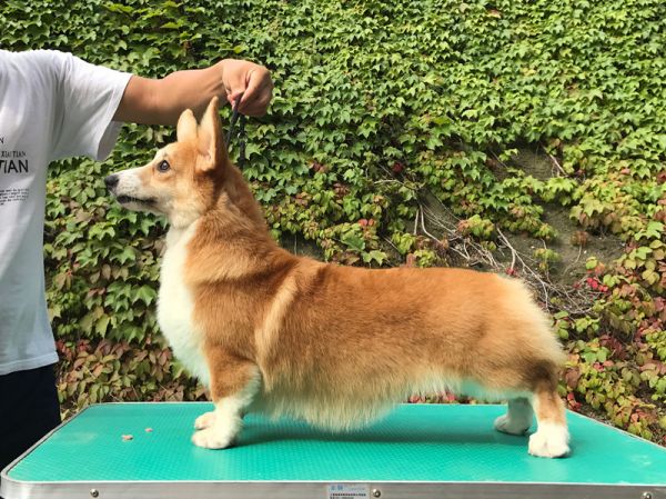 新建文件夹 (3)IMG_6829_副本.jpg