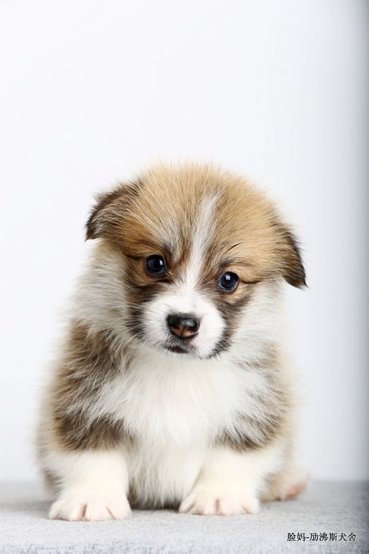 IMG_2915.JPG