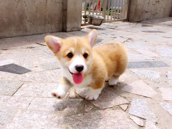 QQ图片20170819112723.jpg