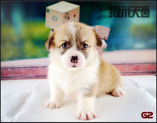 QQ图片20170819110817.jpg