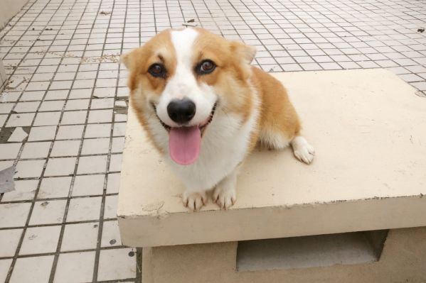 微信图片_20170815171130.jpg