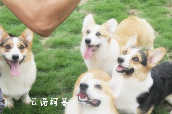 一群1.jpg