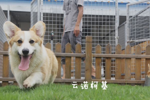 艾伦正常.jpg