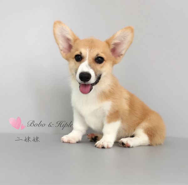 IMG_1684 - 副本.JPG