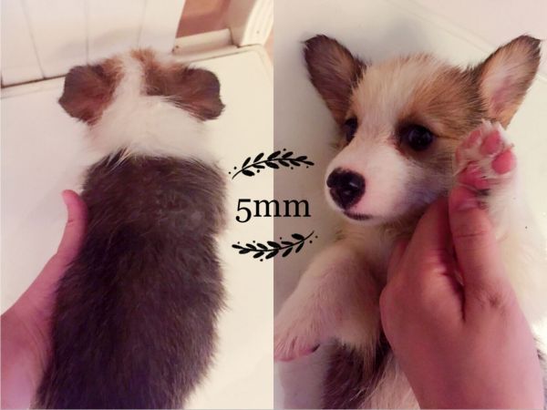QQ图片20170825202412.jpg