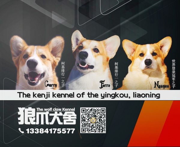 微信相册背景4.jpg
